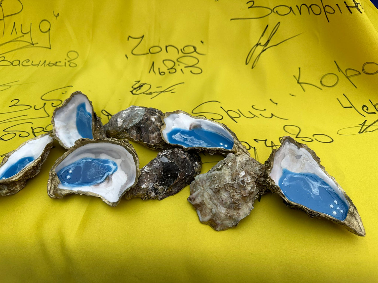 Oyster Shells from Odesa - Painted and filled with Acrylic